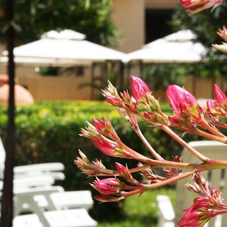 Solemare Accommodation Αλγκέρο Εξωτερικό φωτογραφία